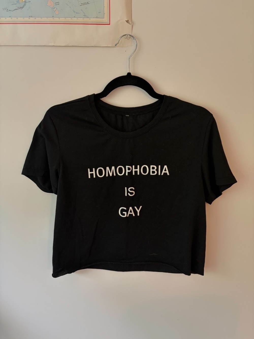 LGBTQ Pride Funny Graphic Tee Gay
